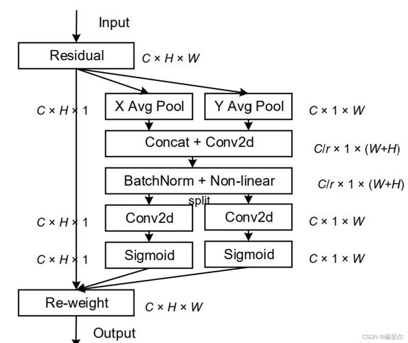 plastome,plastome coordinate