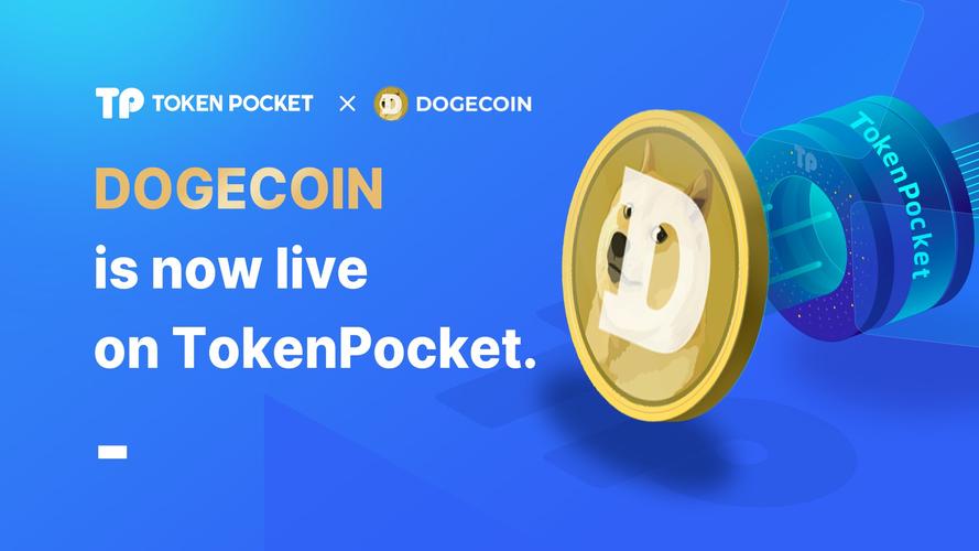 token钱包被下载套路,token pocket钱包安全吗