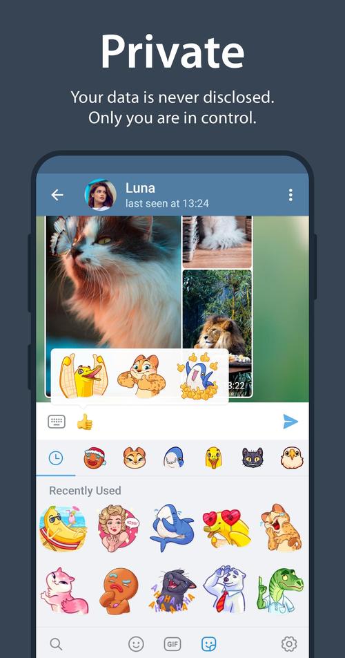 telegeram电脑版设置教程,telegram desktop怎么用