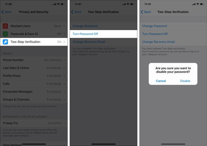 telegeram灰色版本官网,telegram features