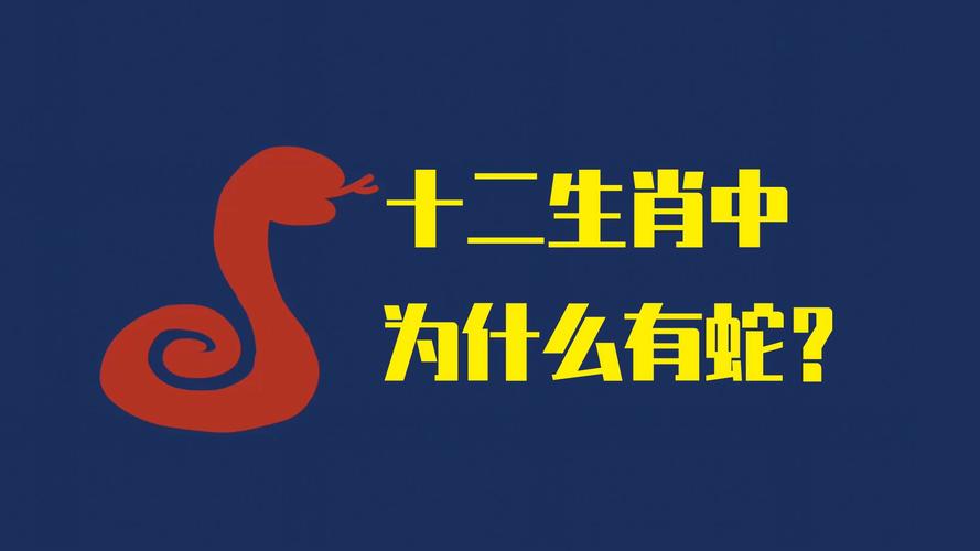 今期六字出玄机是指哪个生肖蛇吗,今期六字出玄机,特数出此不为奇是什么生肖