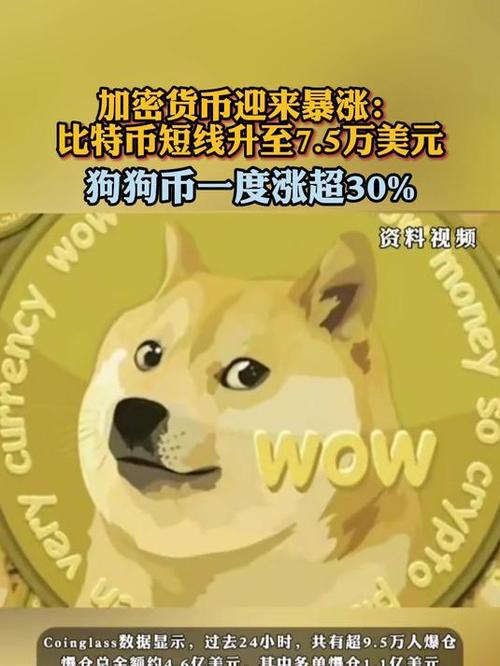 虚拟币价格一览表,狗狗币一夜暴涨700倍