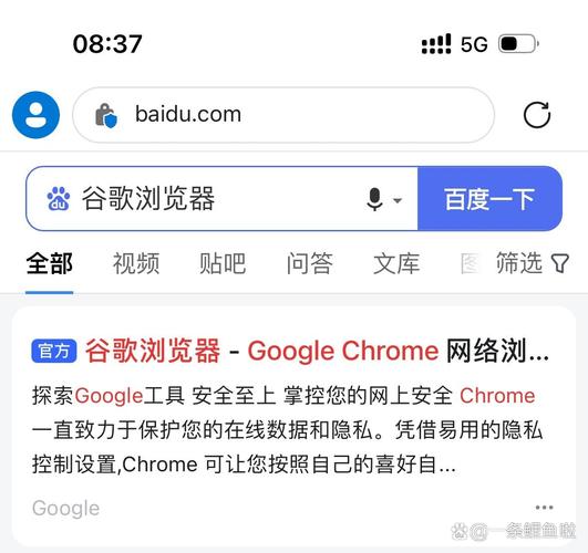 谷歌浏览器下载安装,谷歌浏览器下载安装包