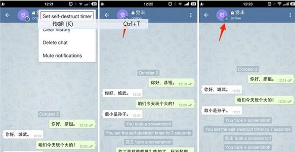 telegreat安卓中文版,telegreat安卓中文版聊天