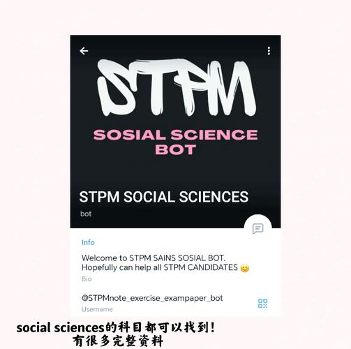 纸飞机查询,纸飞机查询群