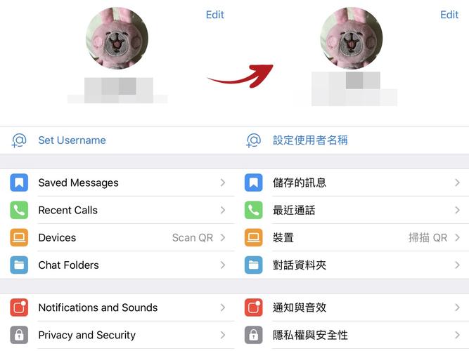 telegreat苹果怎么下载,telegreat苹果怎么改中文版