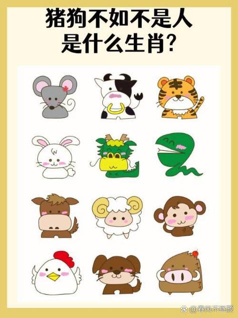 最正确答案打一动物,正确答案打一准确生肖