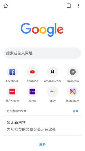 谷歌浏览器官网入口网页版,谷歌浏览器官网chrome