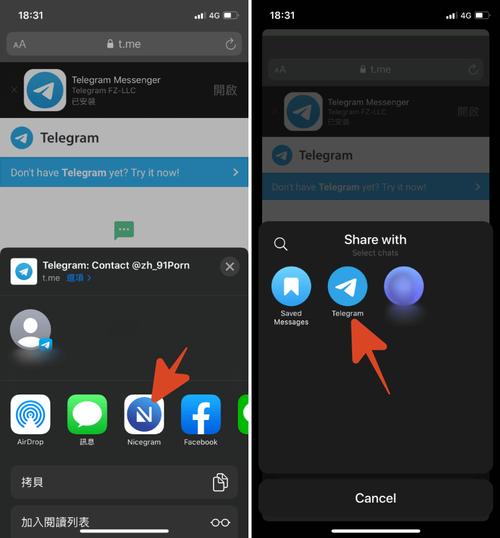 telegreat中文版安装包,telegreat中文版ios安装包
