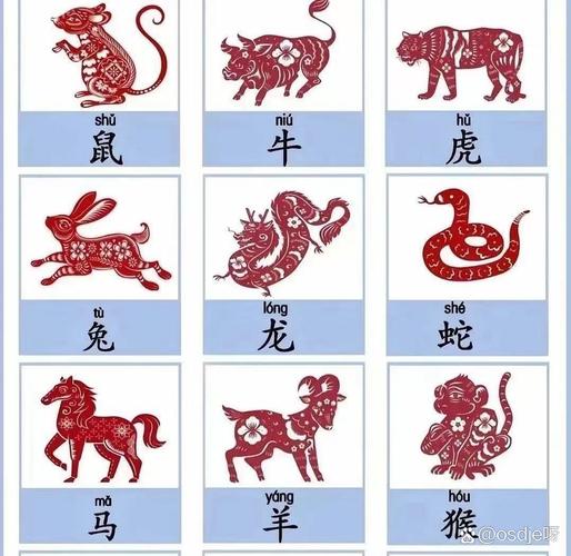 六字猜生肖,六字猜生肖动物