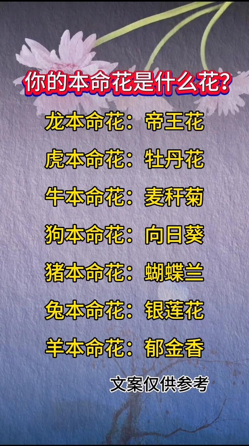 什么生肖是金花银花,金花是指生肖中的什么花