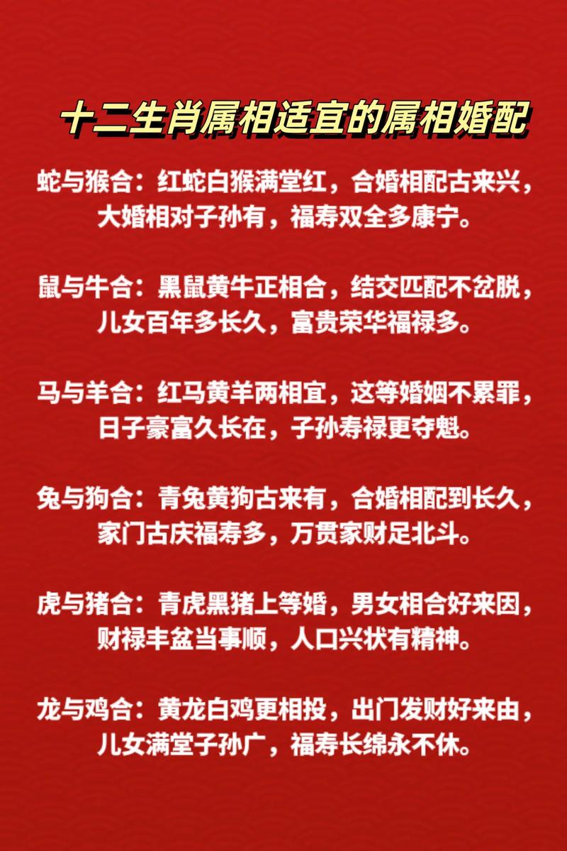 什么生肖跟什么生肖合财,什么生肖和什么生肖相配最好