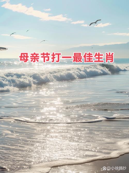 打打一生肖最佳答案,鸡飞蛋打打一生肖最佳答案