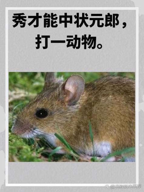 醉打一生肖是什么动物的简单介绍