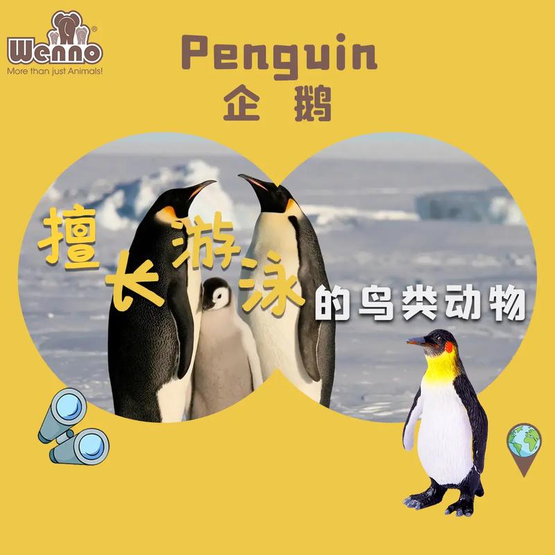 企鹅指什么生肖正确答案,企鹅是十二生肖的什么生肖