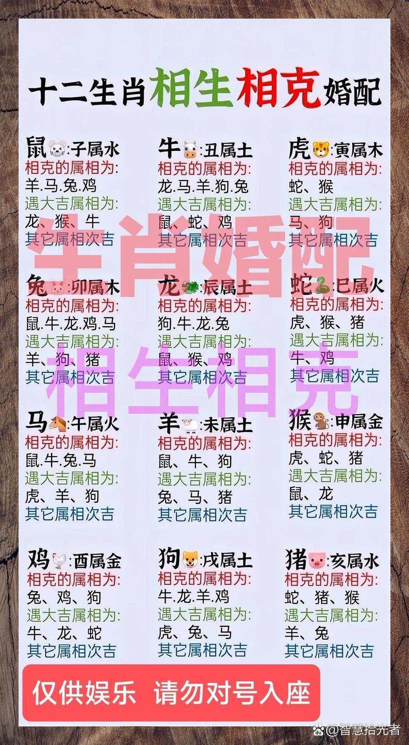 1991年属相是什么生肖婚配,1991年属相是什么生肖婚配最好