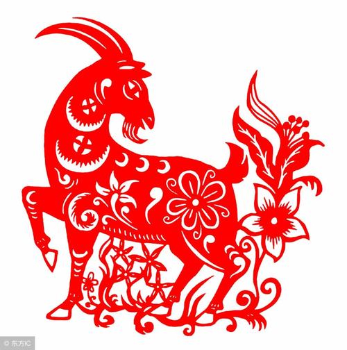开金花代表什么生肖,开金花代表什么生肖动物