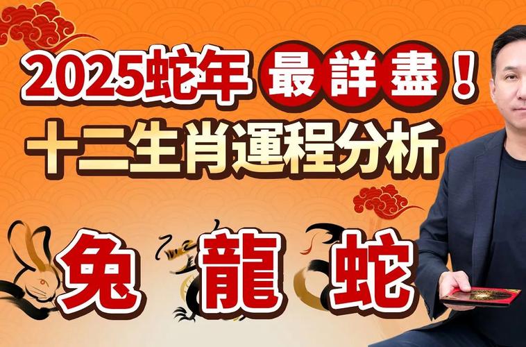 黑恶势力打一生肖,黑恶势力指什么生肖