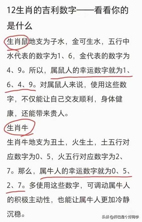 今期生肖兴金木正确答案,今期生肖最简单代表什么数字