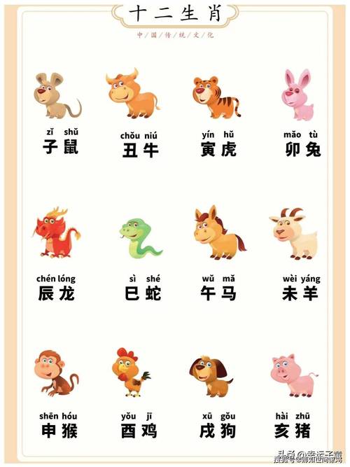 小明打一生肖猜动物,小明是代表什么生肖动物