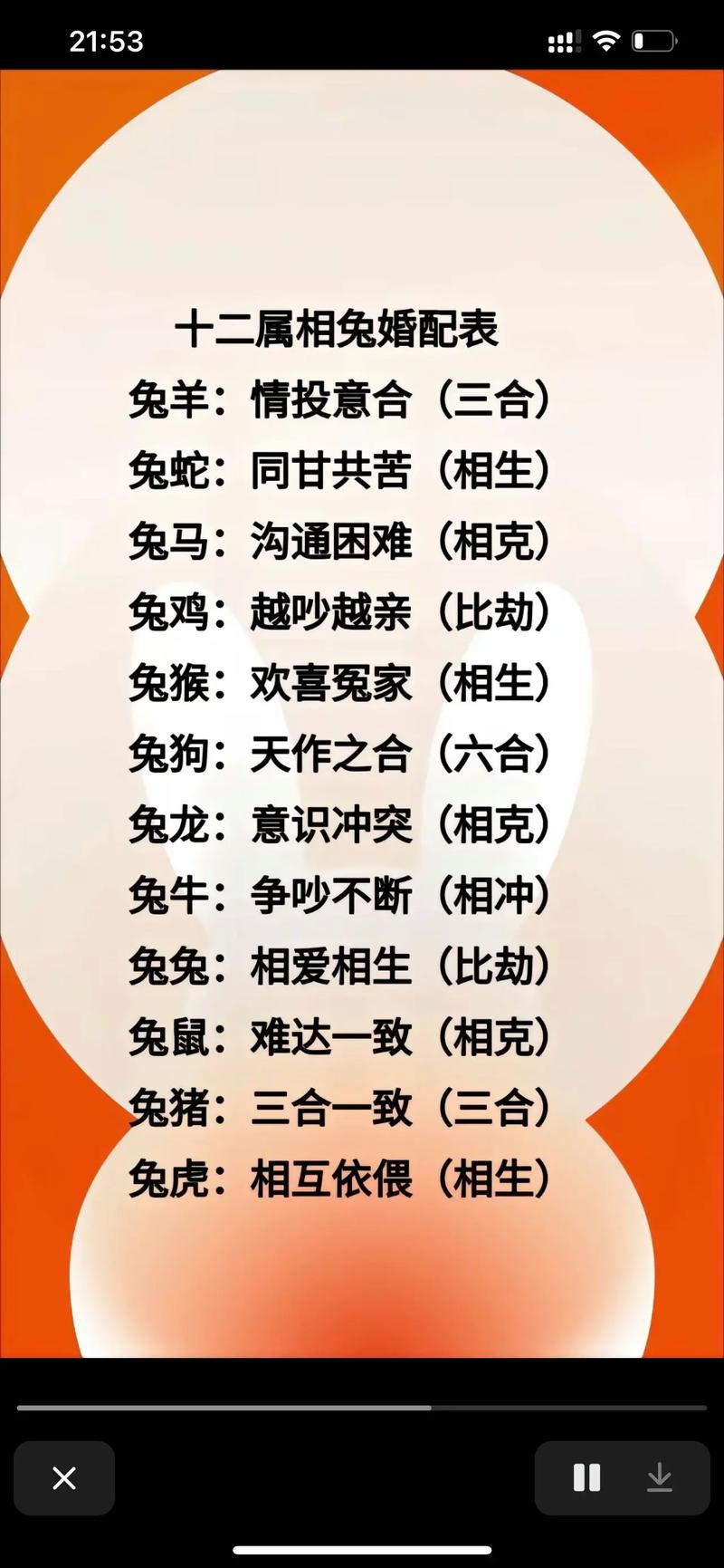 今期生肖送兰花是什么动物,今期生肖送兰花是什么动物生肖