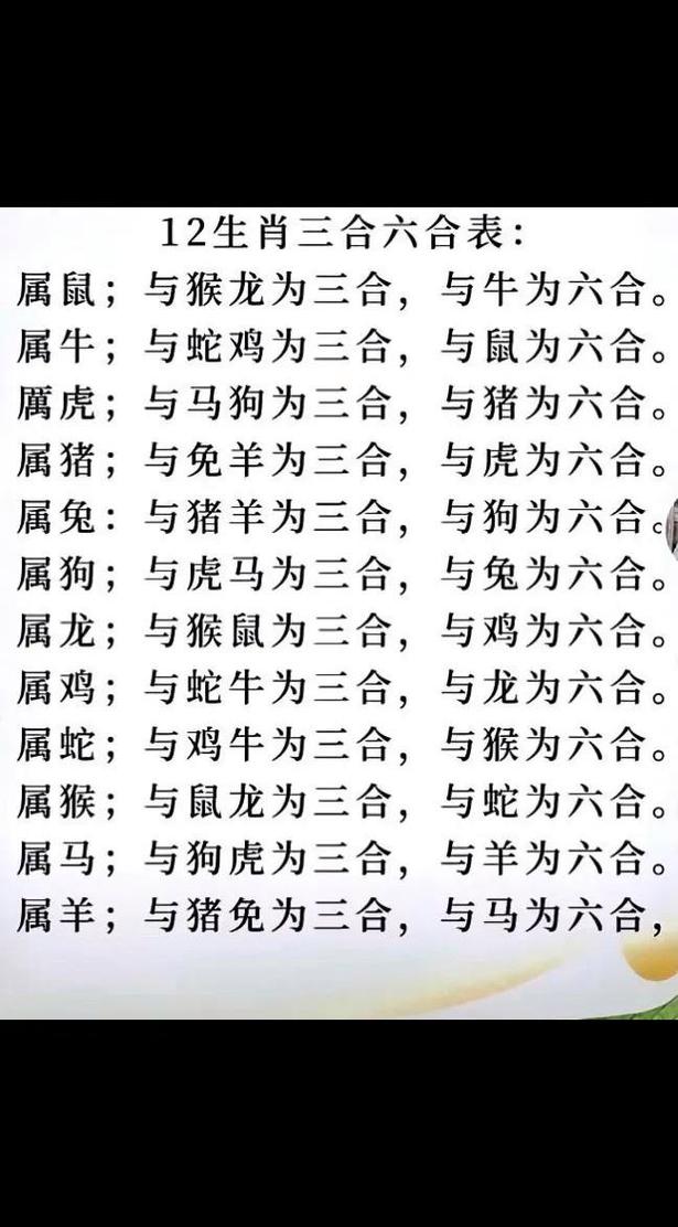 包含今期特马羊狗在代表什么生肖的词条