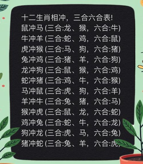 什么生肖相冲相合,什么生肖与什么生肖相冲