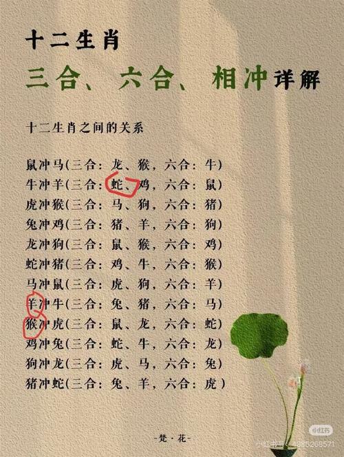 今期生肖定管家生肖,今期生肖定管家二前惆怅十牡丹是什么生肖