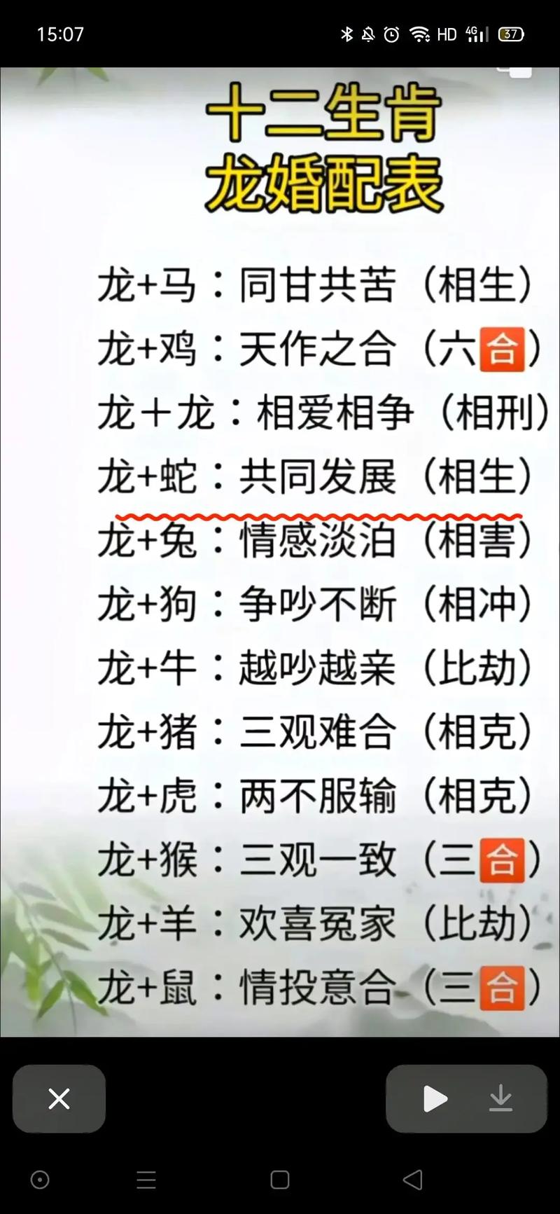什么生肖克属龙的,什么生肖克龙又克鼠