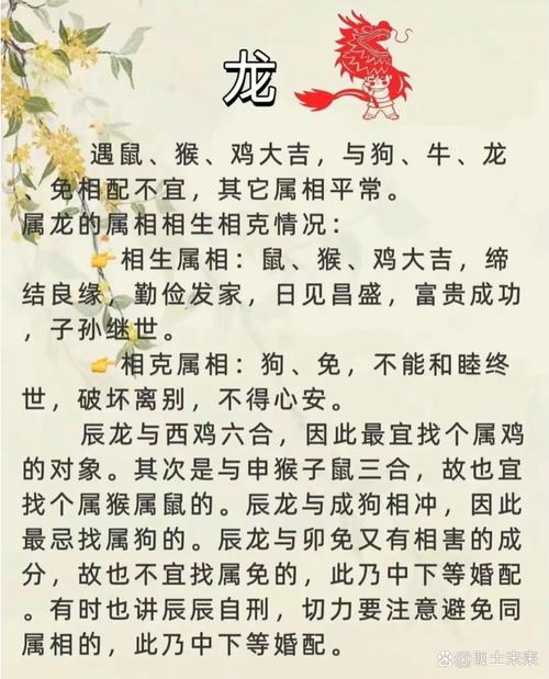 声名鹊起正确答案打一肖,声名鹊起的动物是什么生肖