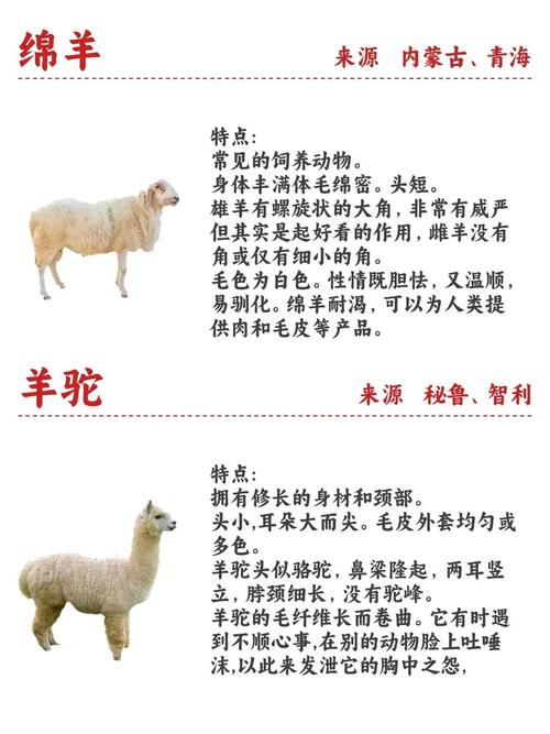 细羊的意思,细羊足是什么生肖