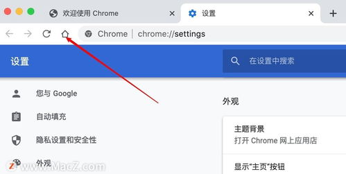苹果纸飞机软件怎么设置中文-苹果手机纸飞机中文版怎么设置