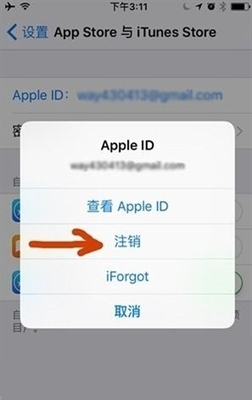 纸飞机如何设置中文版本苹果手机-纸飞机中文版怎么设置汉化苹果手机