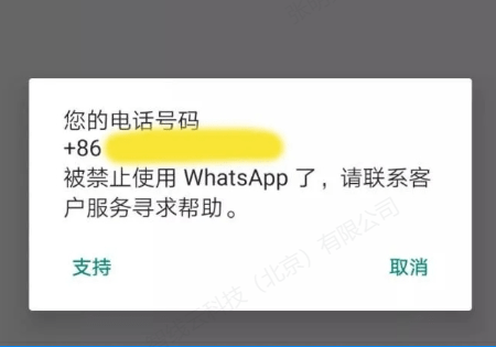 whatsapp添加好友步骤-whatsapp加好友怎么加?