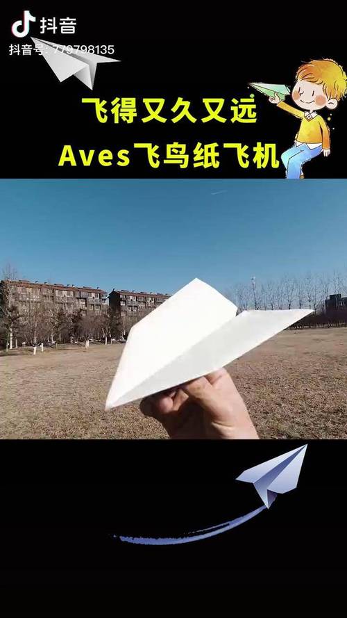 纸飞机改中文包，纸飞机改成中文版