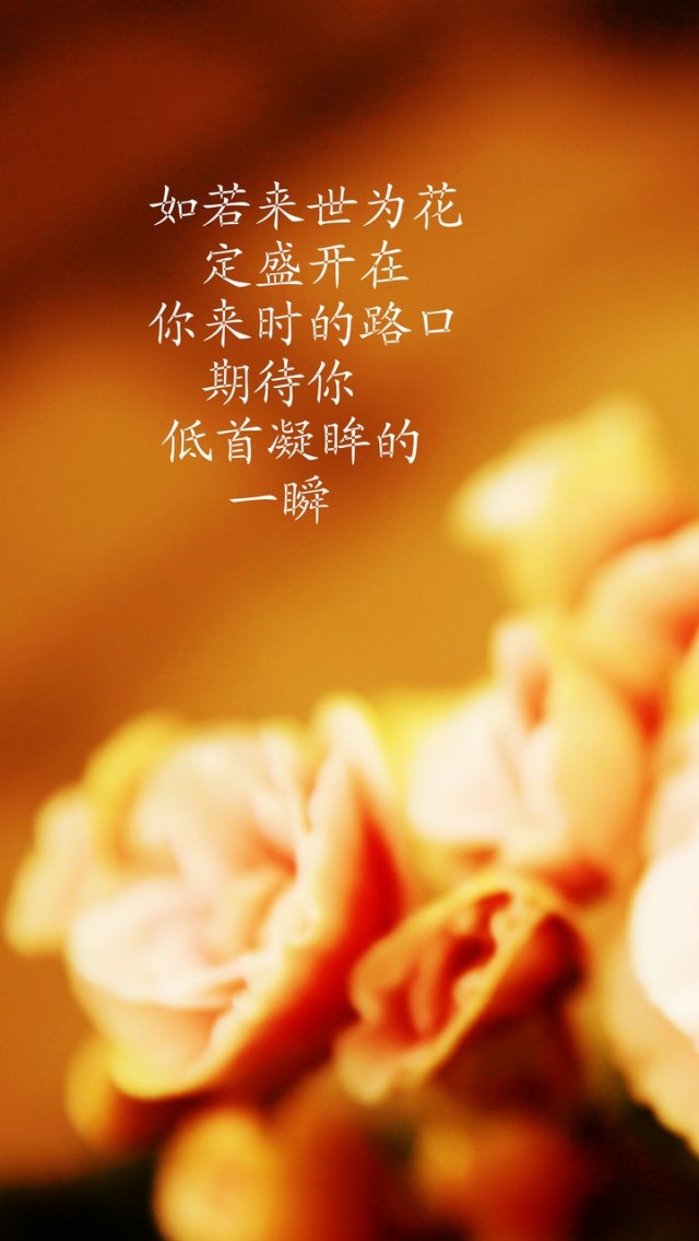 纸飞机语录经典语录，纸飞机经典语录摘抄
