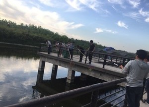 首尔天气预报，首尔天气预报15天准确一览表
