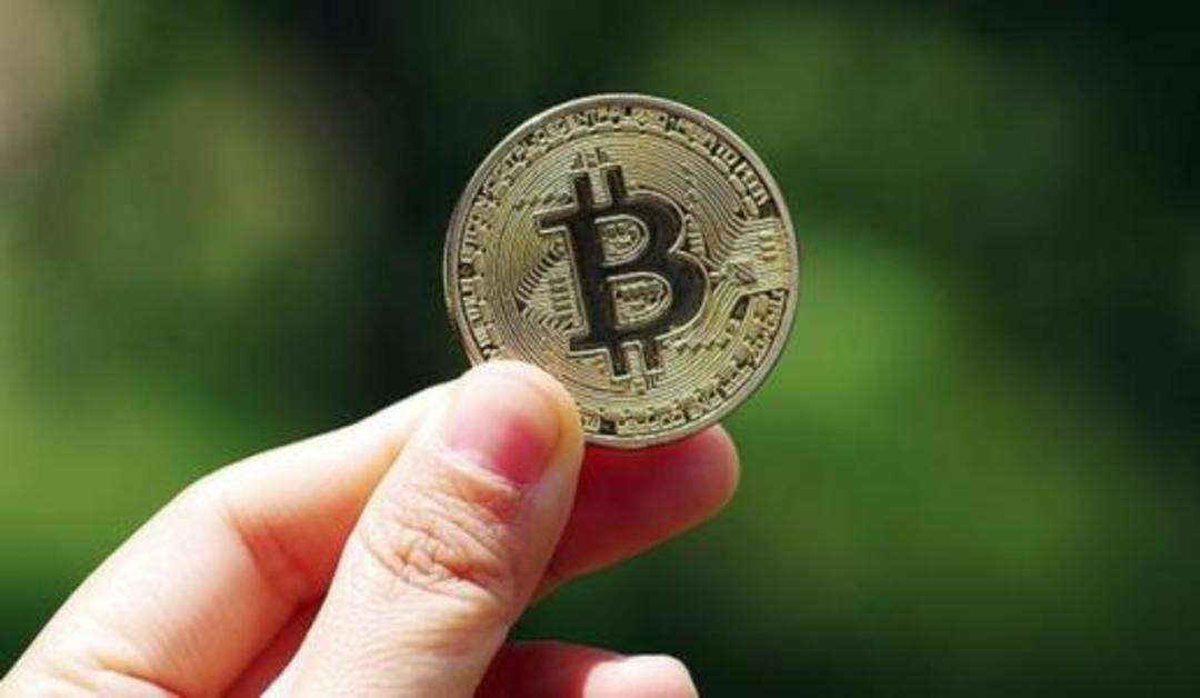 泰达币和比特币的区别图片，泰达币和比特币的区别图片对比