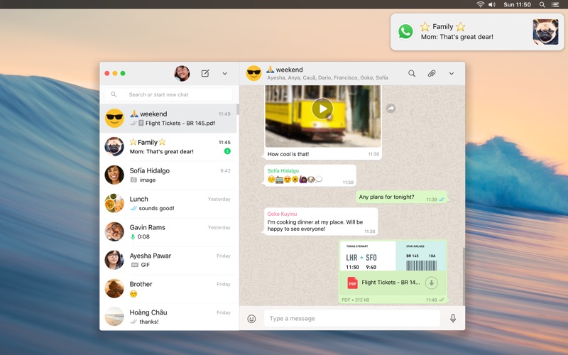 官网whatsapp下载安装，whatsapp官网安卓下载安装