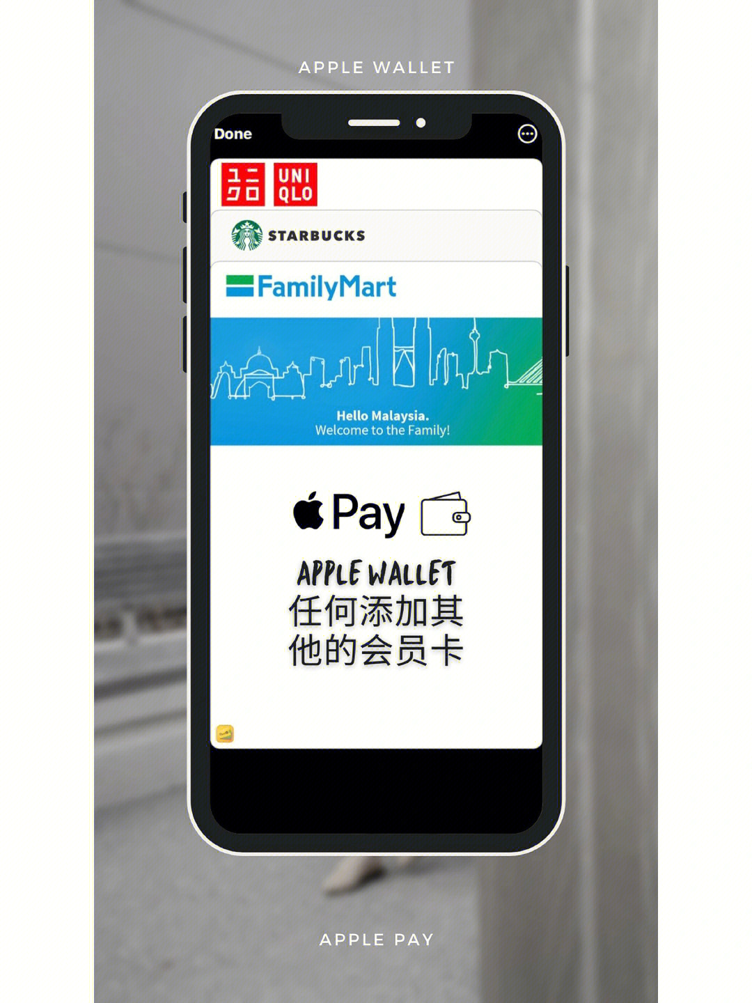 pt钱包网址下载，pt钱包app官网版