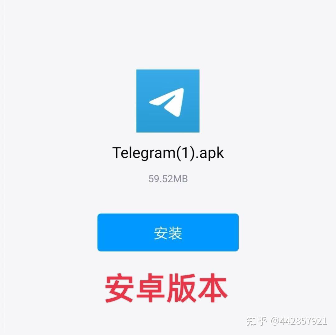 飞机软件汉化语言包，飞机软件汉化语言包怎么用