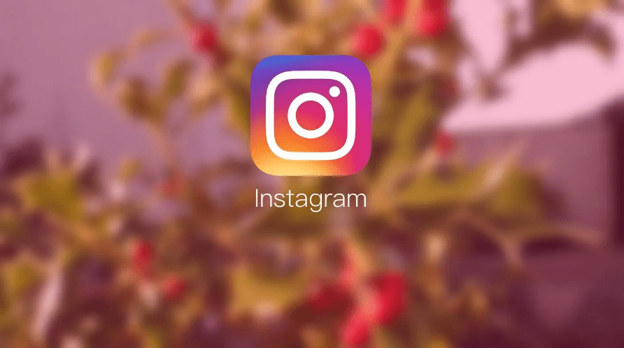 instagram官网入口，instagram官网入口下载加速器