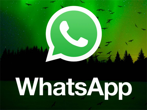 whatsapp英文怎么翻译成中文，whatsapp怎么直接在软件中译英