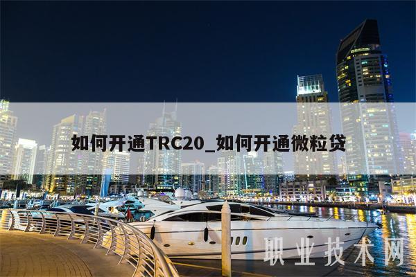 trc20电子钱包官网，neteller电子钱包