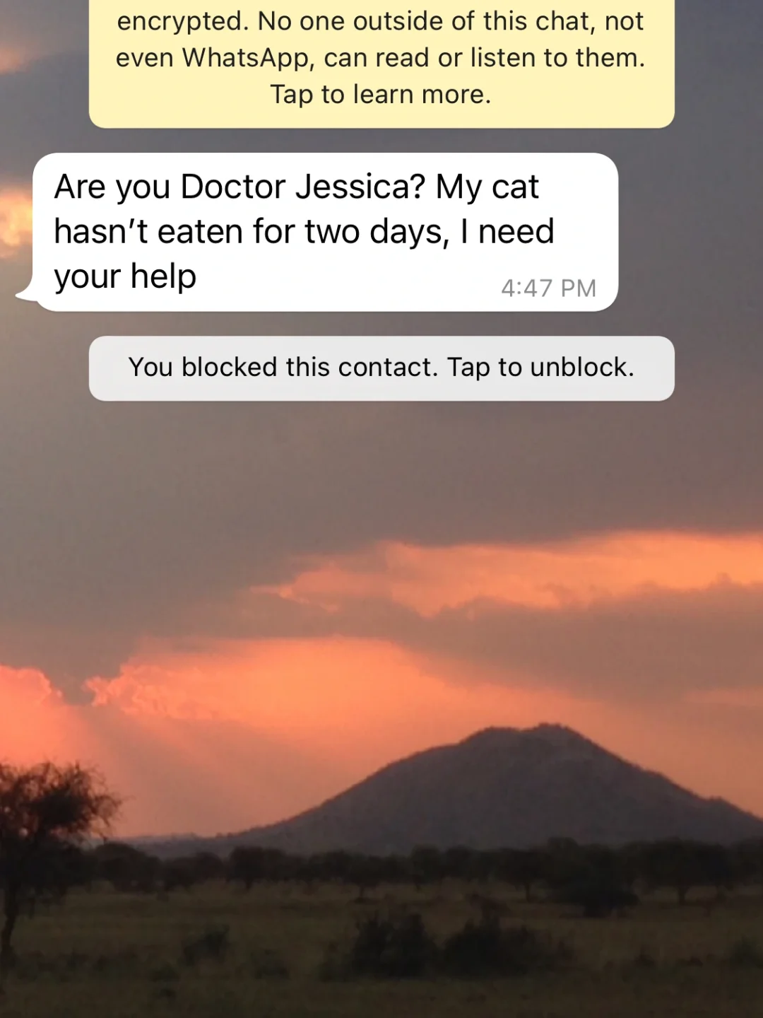 whatsapp中文怎么念，whatsapp英文怎么发音