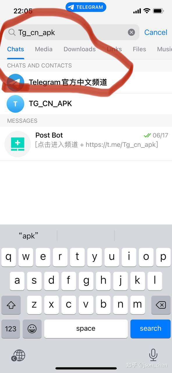 telegreat怎么下载中文版，telegeram官网下载中文版本
