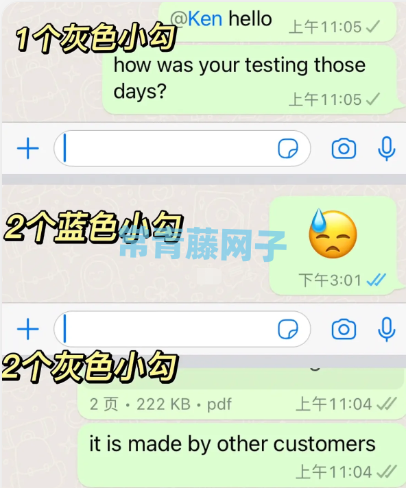 包含whatsapp中文叫什么名字的词条