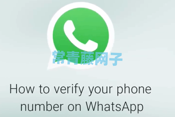 whatsapp中文怎么说，whatsapp怎么翻译中文