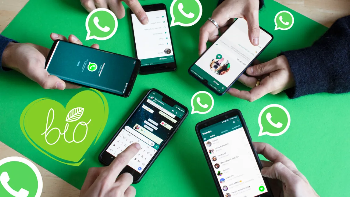 what’sapp下载，whatsapp下载安装官方最新版