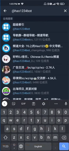 苹果纸飞机改中文怎么改，纸飞机苹果手机怎么转换中文版